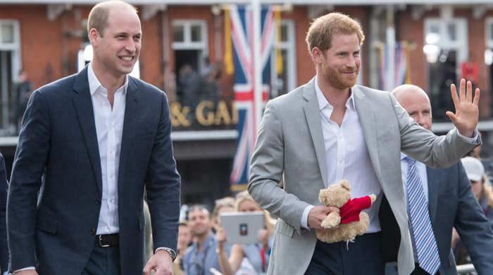 Prince William sends hidden message to Harry in bombshell announcement