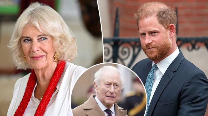 Queen Camilla swallows bitter pill as King Charles takes action for Harry