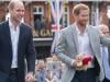 Prince William sends hidden message to Harry in bombshell announcement