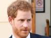 Prince Harry changes UK plans after William's US announcement 