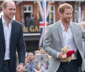 Prince William sends hidden message to Harry in bombshell announcement