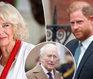 Queen Camilla swallows bitter pill as King Charles takes action for Harry
