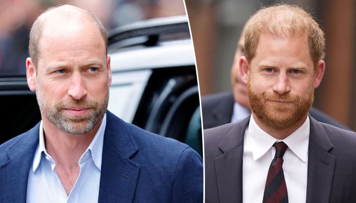 Prince William takes action one day before Prince Harry lands in UK
