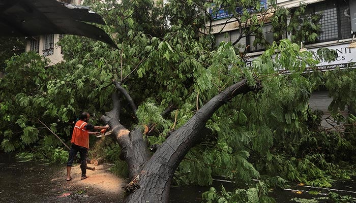 A worker clears a fallen tree after heavy rainfall in Mumbai, India, July 5, 2026. — Reuters