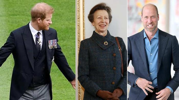 Prince William's reaction to Harry's security, reunion laid bare