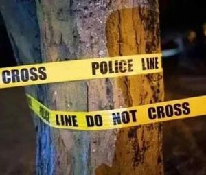 DNA of three suspects ‘matches' in Lahore foreign women sexual assault case