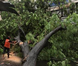 Building collapse kills six in Mumbai as torrential rain batters city