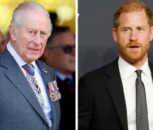King Charles, Prince Harry royal row over accommodation: Truth revealed