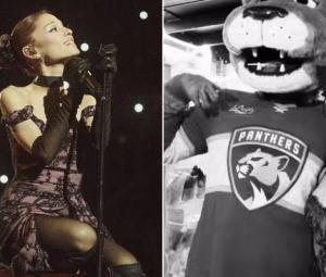 Ariana Grande shares stunning footage from tour stop in hometown of Florida