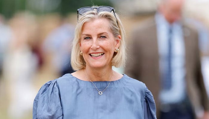 Duchess Sophie makes cheeky superhero connection amid style transformation