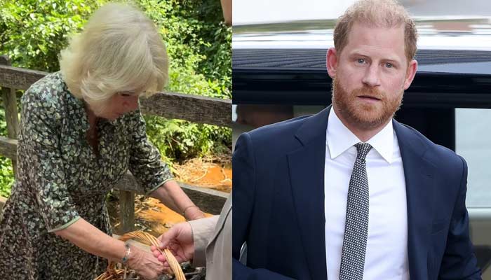 Palace drops surprise Queen Camilla video as Britain welcomes Harry home