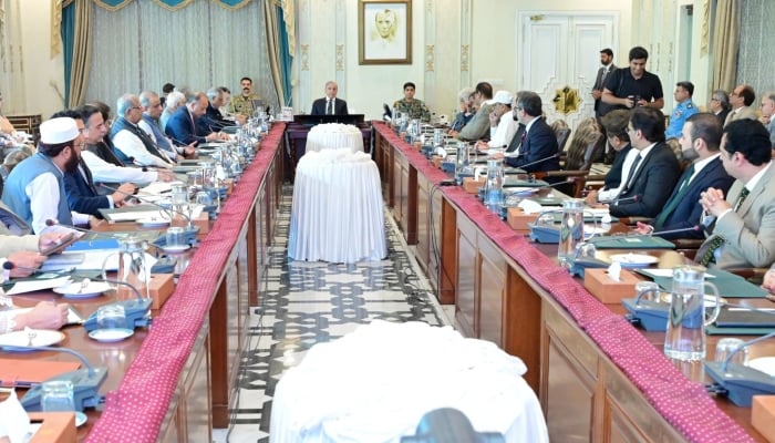 Prime Minister Shehbaz Sharif addresses a meeting of the federal cabinet in Islamabad, July 7, 2026. — X/@PakPMO