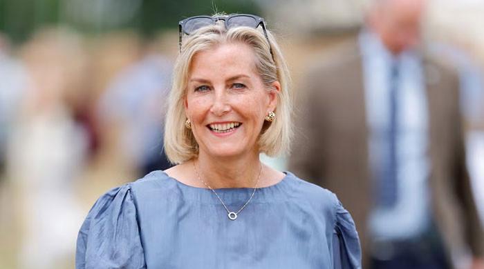 Duchess Sophie makes cheeky superhero connection amid style transformation