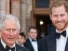 King Charles makes it clear: 'No one will harm Prince Harry'
