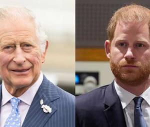 King Charles turns deaf ear to Prince Harry cry with cool change: Watch