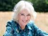 Queen Camilla lands in unexpected gaffe after hilarious choice of words