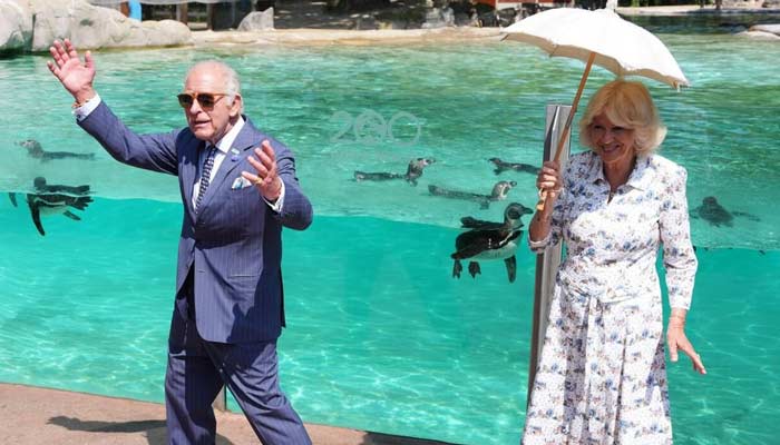 King Charles steps out for surprise appointment as Harry looks at ease