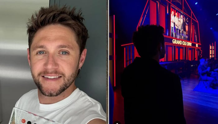 Horan, 32, performed with country star Thomas Rhett ahead of their two stadium shows