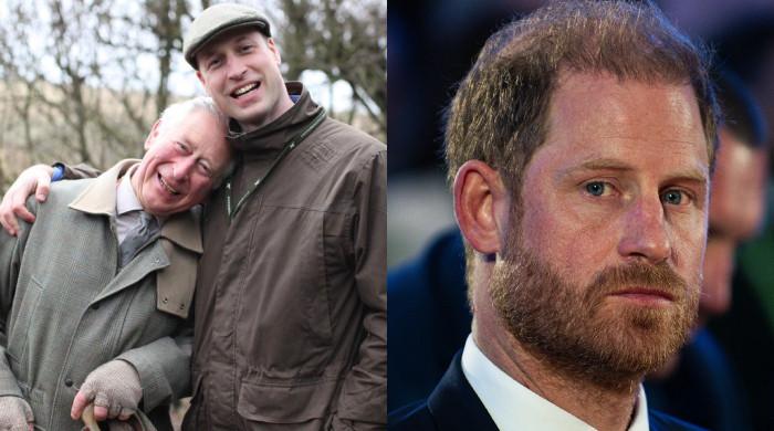 Palace shares King Charles, William exciting update amid Harry setback