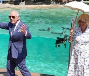 King Charles steps out for surprise appointment as Harry looks at ease 