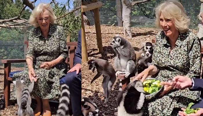Queen Camilla feeds food to naughty ‘buddies’ in rare royal moment