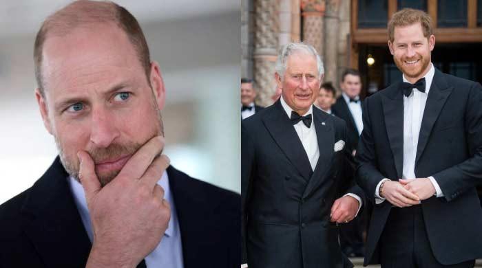 Prince William promotes ‘warmth, connection' after snubbing peace plan