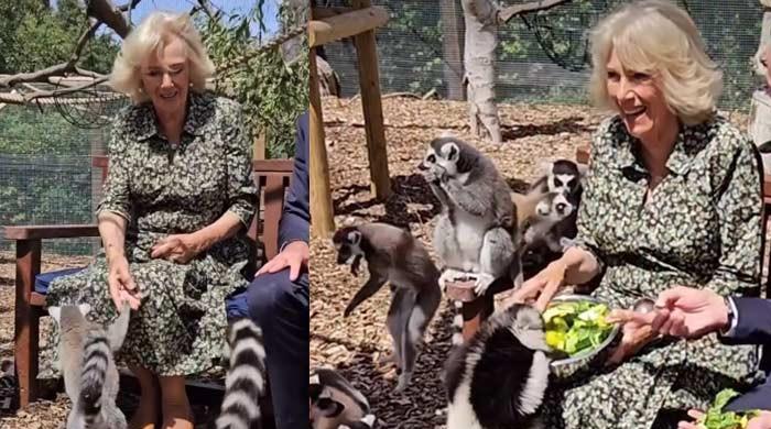 Queen Camilla feeds food to naughty ‘buddies' in rare royal moment