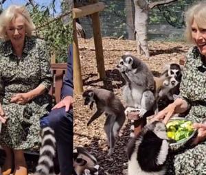 Queen Camilla feeds food to naughty ‘buddies' in rare royal moment