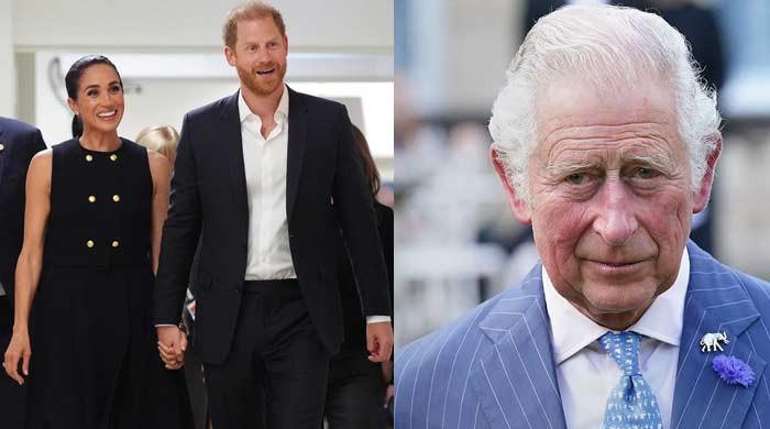 What happened inside King Charles' meeting with Harry, Meghan, Archie, Lilibet