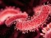 Legionnaires' outbreak hits New York's Upper East Side: Here's what you need to know