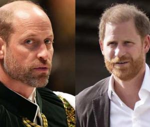 King Charles takes Kate, William into confidence before meeting with Harry
