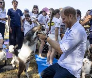 Prince Harry breaks cover after meeting with King Charles