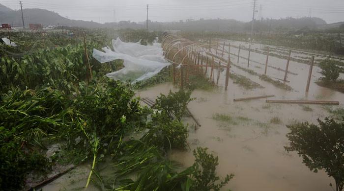 Typhoon Bavi batters eastern China, threatens days of heavy rain