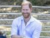 Britons give verdict on Prince Harry after one key engagement in UK
