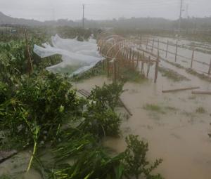 Typhoon Bavi batters eastern China, threatens days of heavy rain
