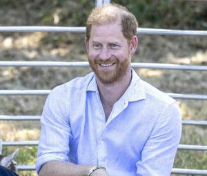 Britons give verdict on Prince Harry after one key engagement in UK