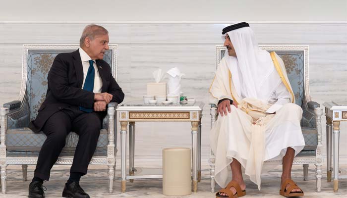 PM Shehbaz meets Qatar’s emir Sheikh Tamim bin Hamad Al Thani in Doha, July 13, 2026. — X/@PakPMO