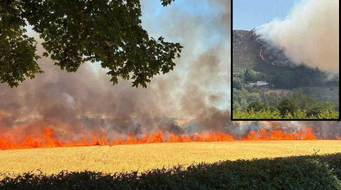 Wildfires spread across UK as Natural England warns south at highest risk THIS week