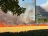 Wildfires spread across UK as Natural England warns south at highest risk THIS week