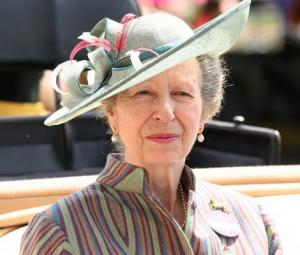 Princess Anne leaves UK on King Charles orders to strengthen ties