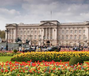 Buckingham Palace announces another royal wedding