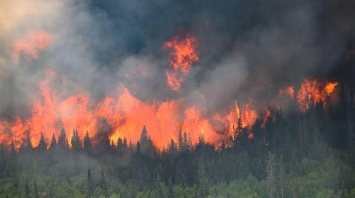 Canadian wildfires smoke drifts into Northern US, triggering air quality alerts