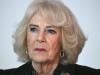 Queen Camilla plays key role in King Charles meeting with Harry, Meghan