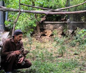 Wildlife rescuers help birds survive Pakistan's hotter summers