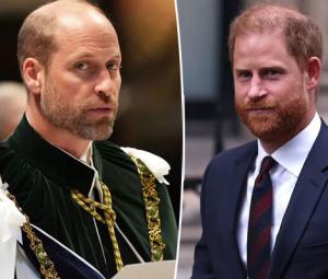 Prince William forced to say ‘no' to Prince Harry olive branch