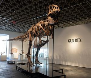 'Gus' the T rex fetches record $50.1m at US auction