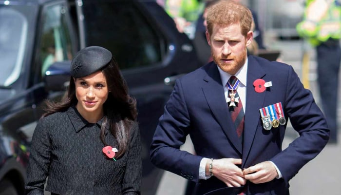 Meghan Markle steps back from Prince Harry mission in surprising move