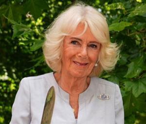 Queen Camilla issues 'silent thief' warning as she remembers her mother