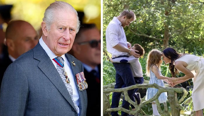 King Charles gives Harry, Meghan stern warning for Archie, Lilibet future