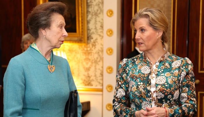 Princess Anne takes leaf out of Duchess Sophie book with uplifting message